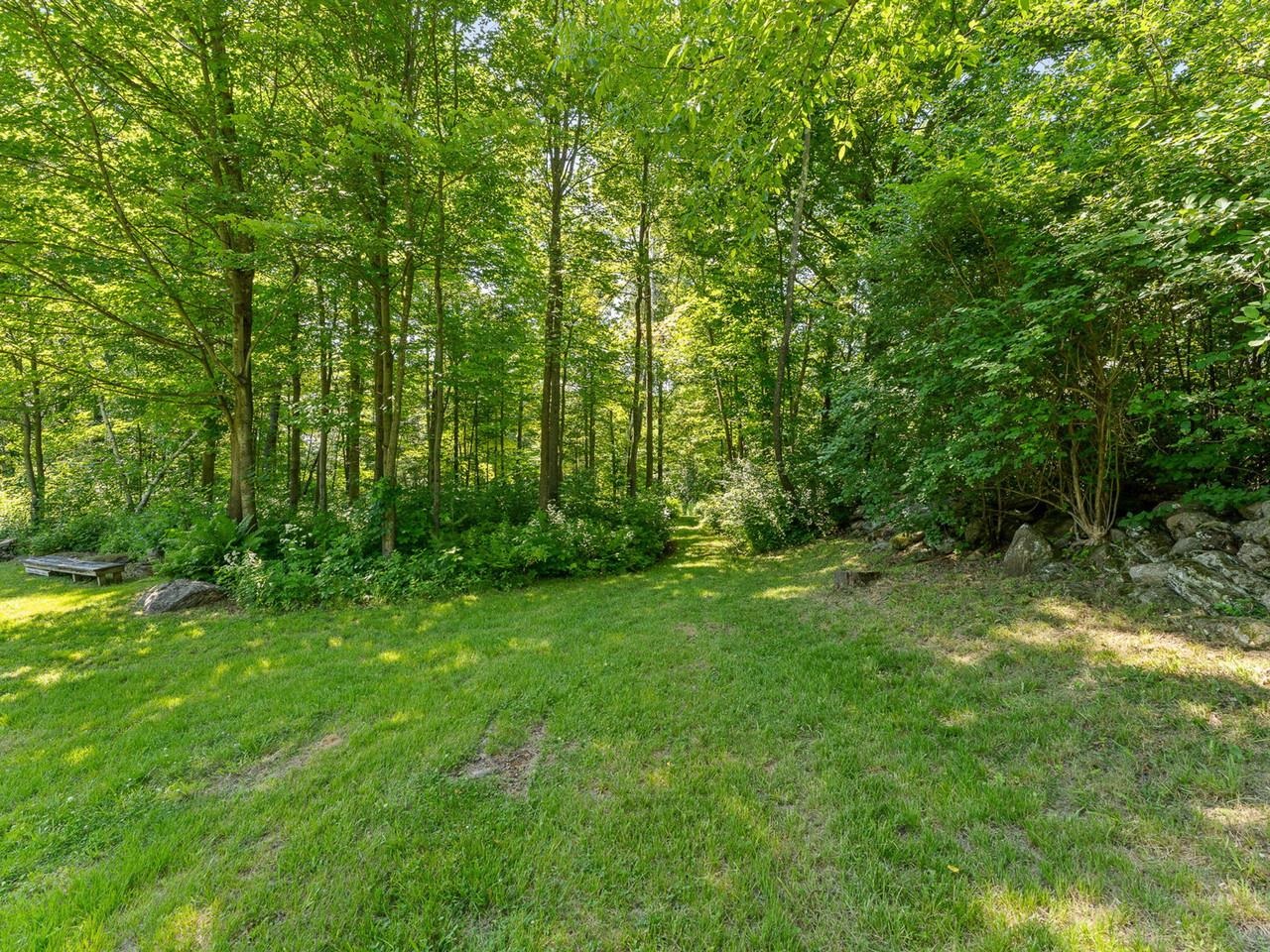 Paths in the woods