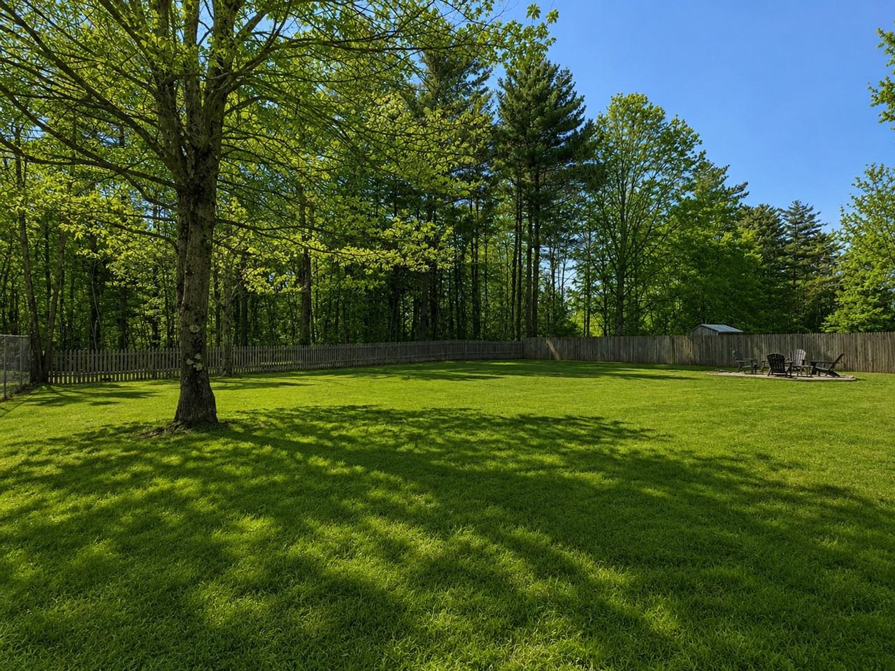 Fully Fenced Backyard