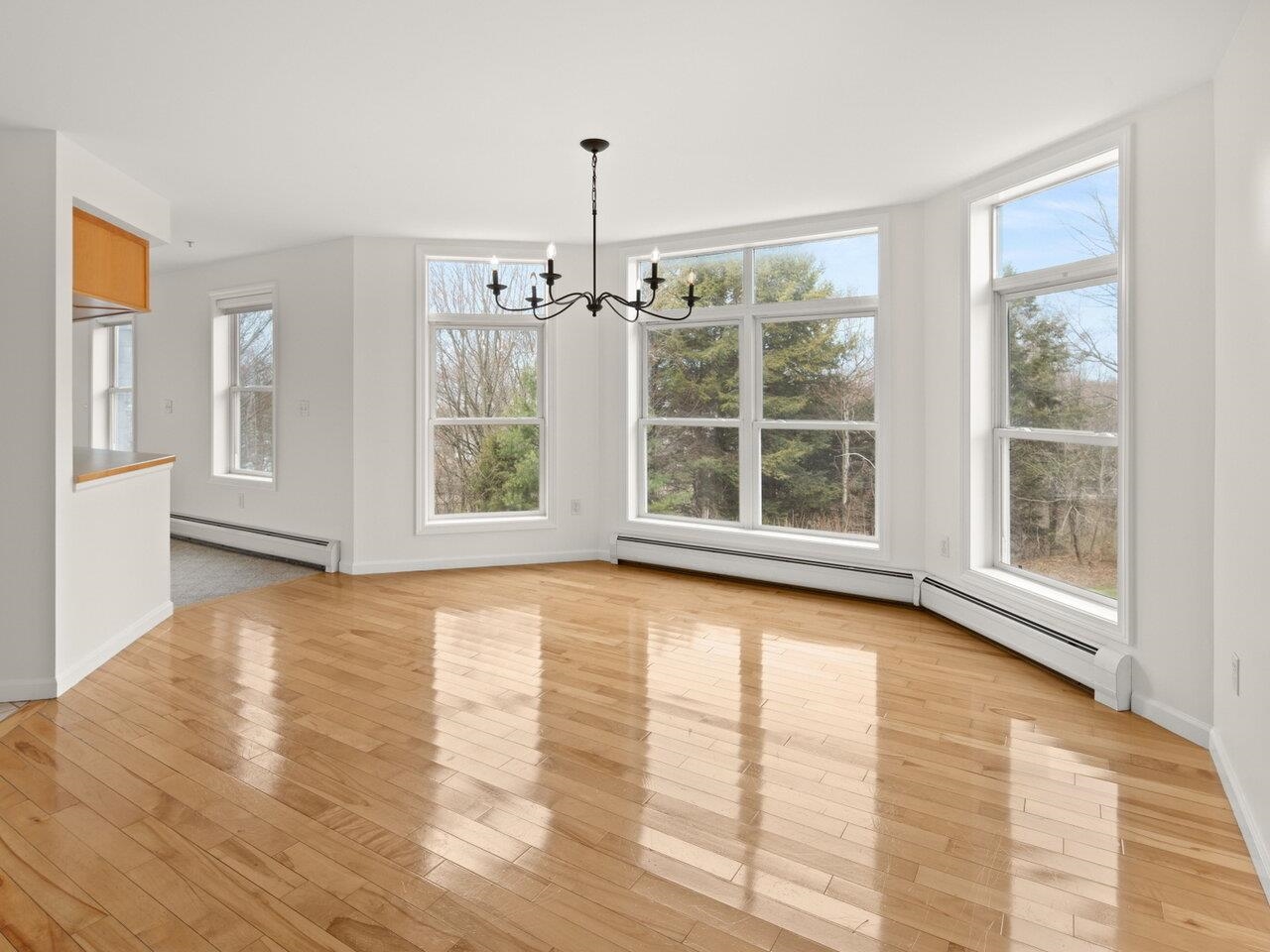Light-filled dining room