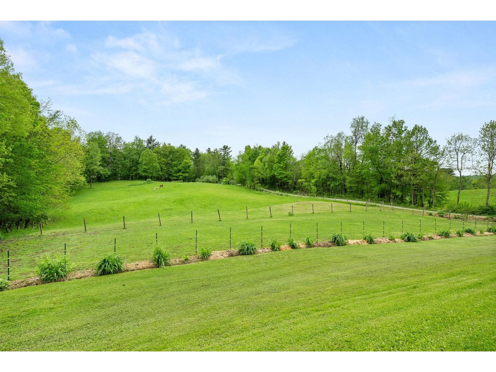 55 Honey Hill Road