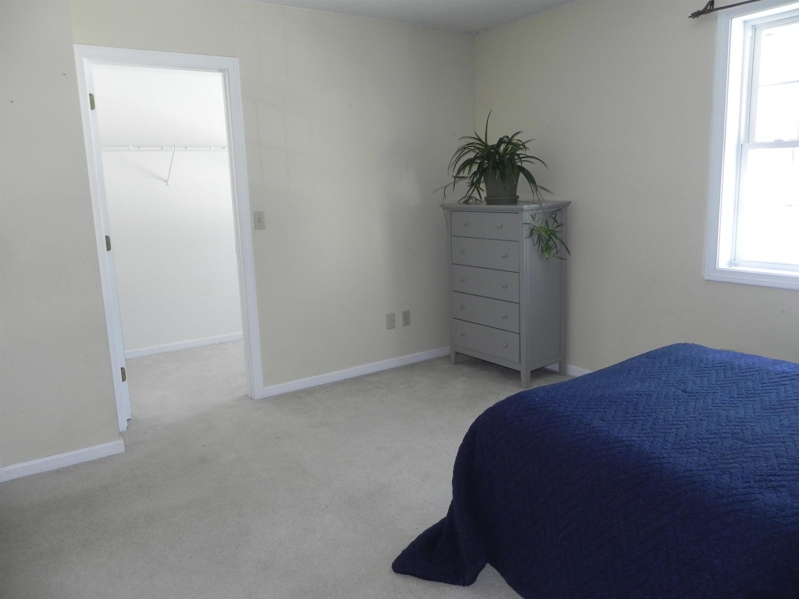 55 Longwood Circle