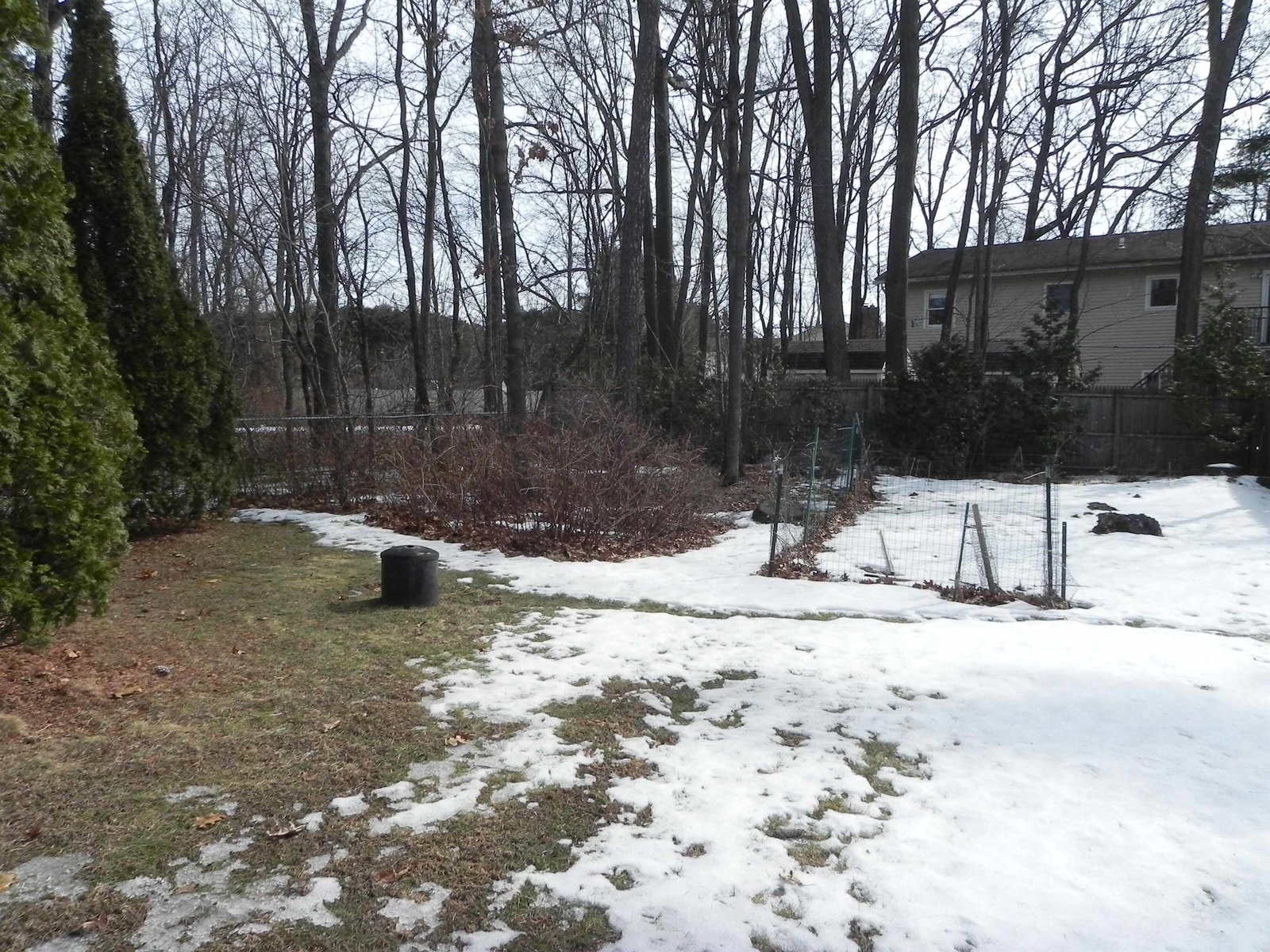 55 Longwood Circle