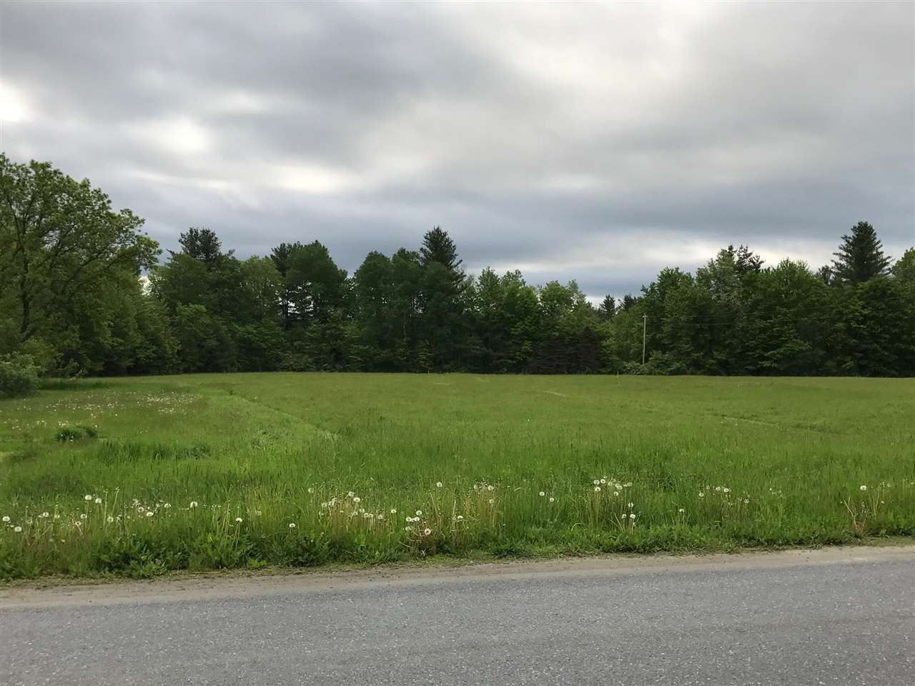 55 Plains Road