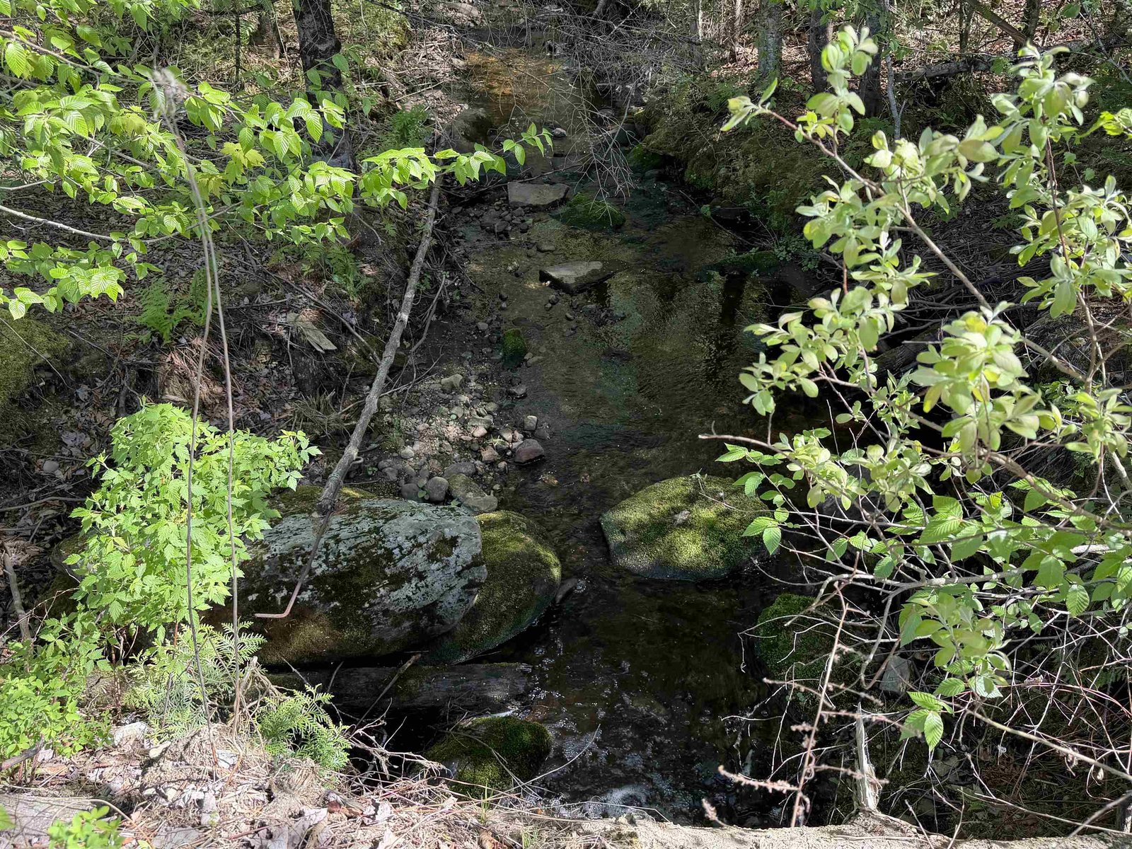 small brook runs through the lot