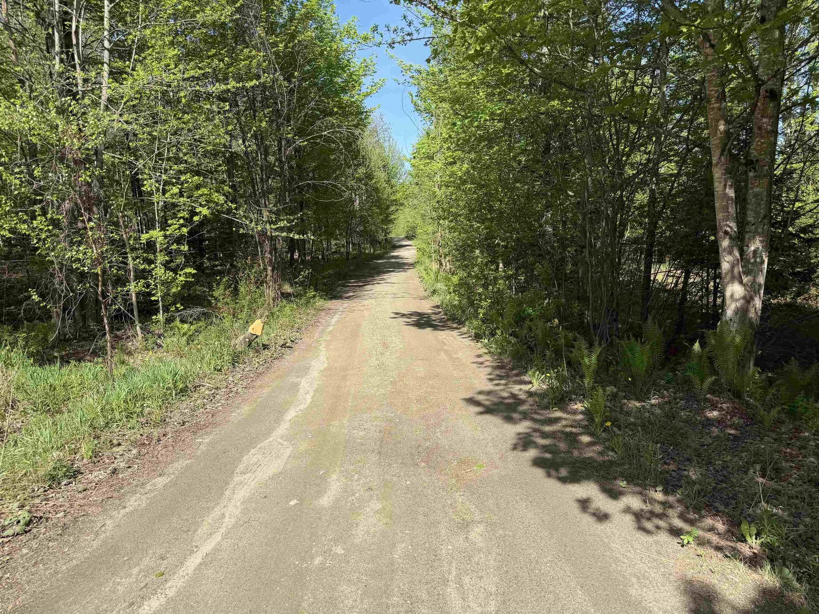 550 Petit Road