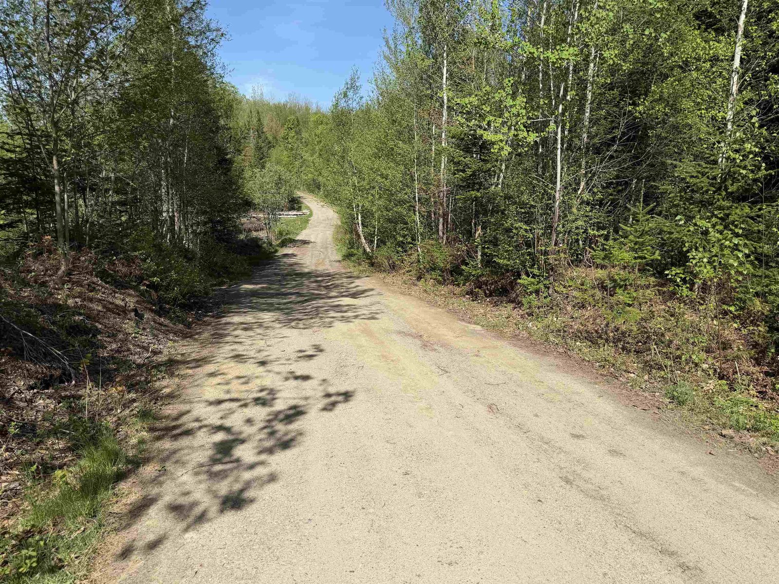 550 Petit Road