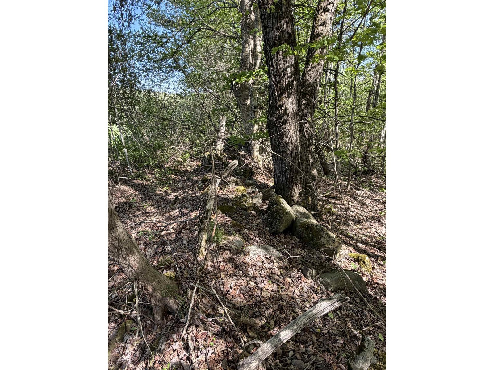 550 Petit Road