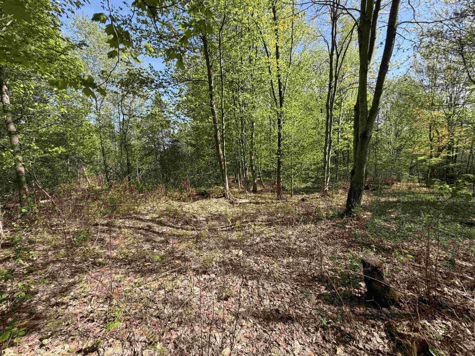 550 Petit Road
