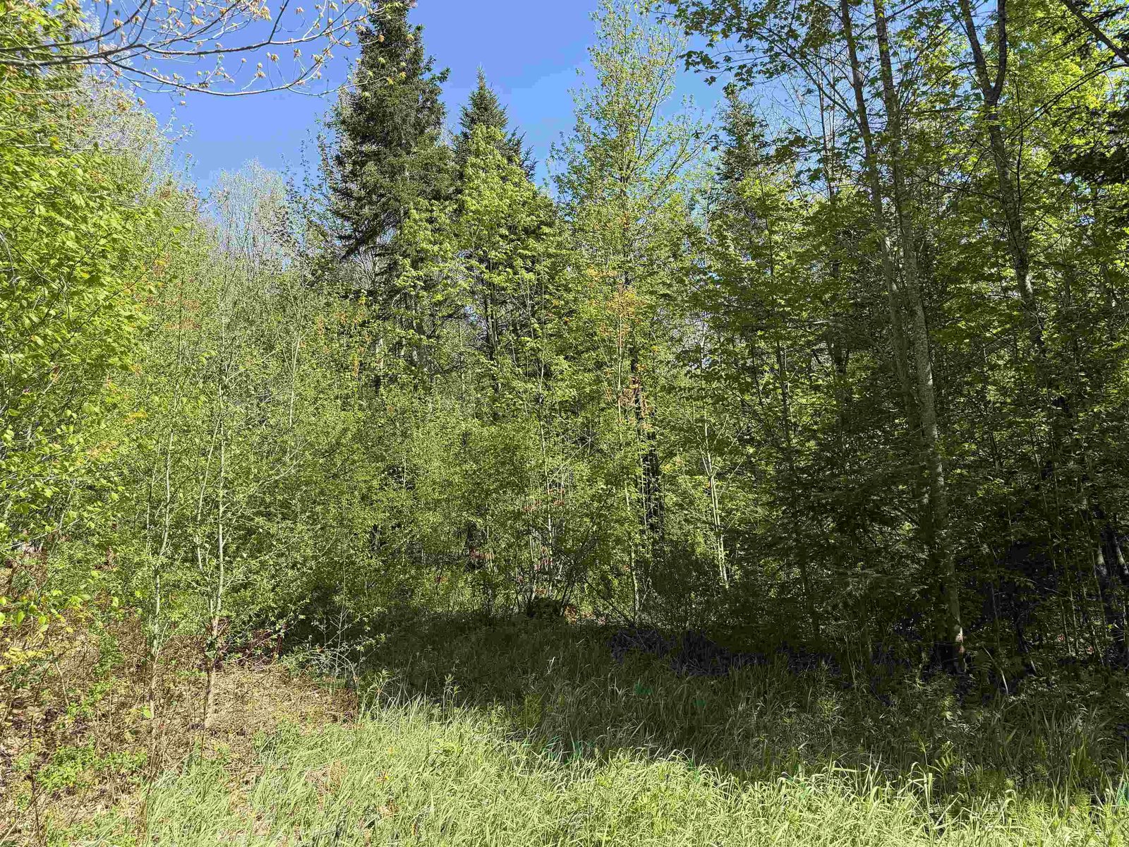 550 Petit Road