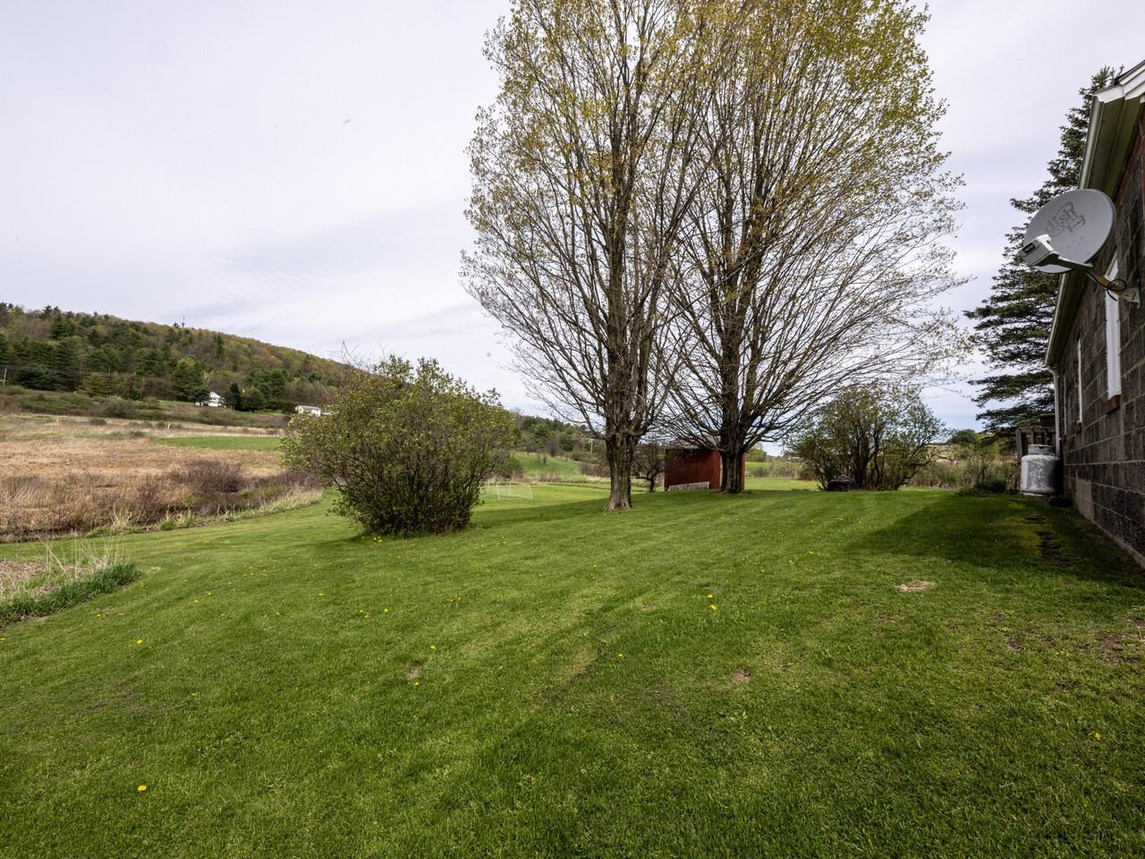 To backyard