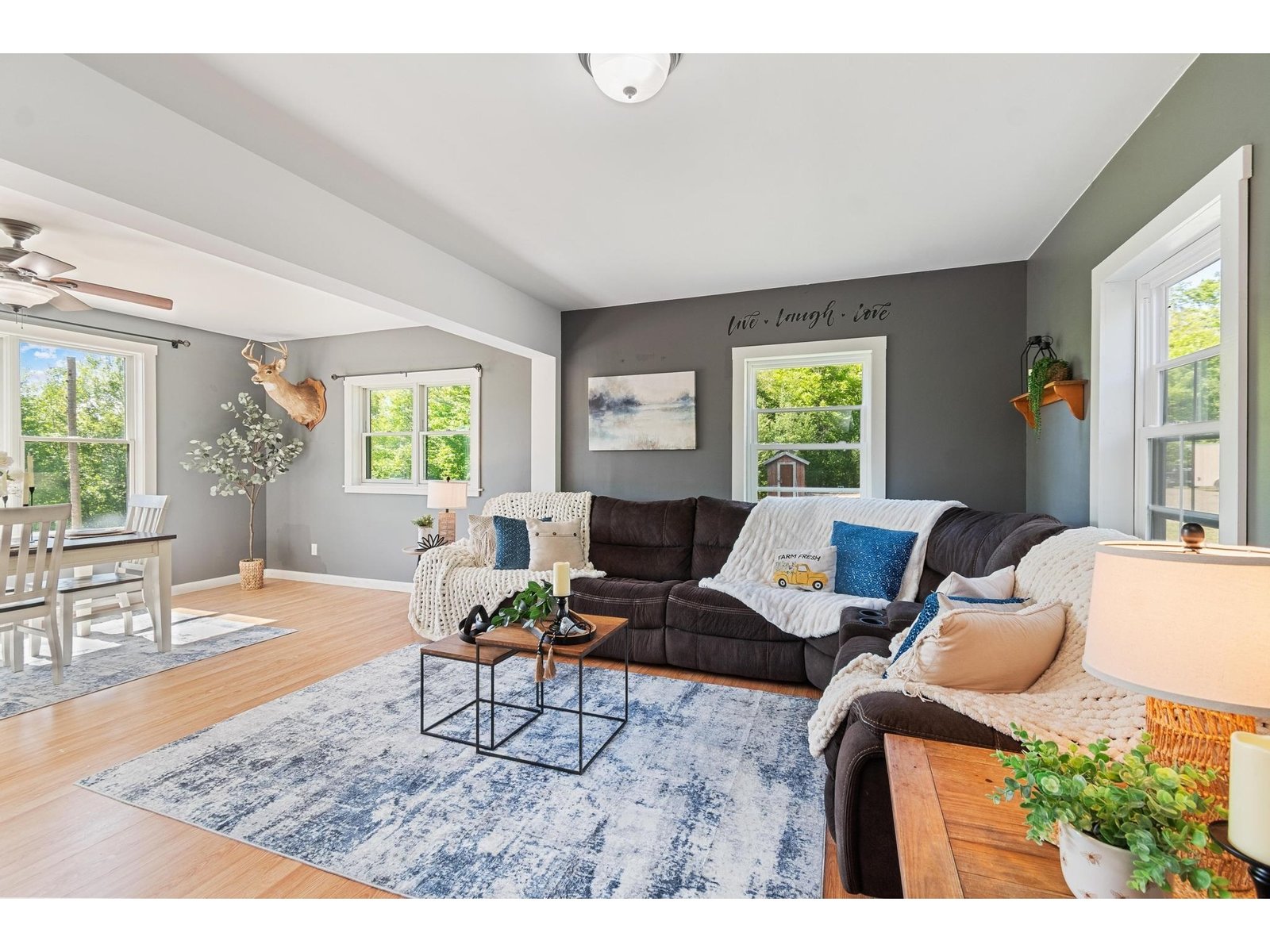 559 Valley View Drive