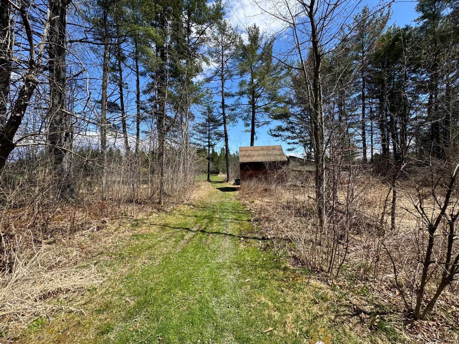 5597 Greenbush Road