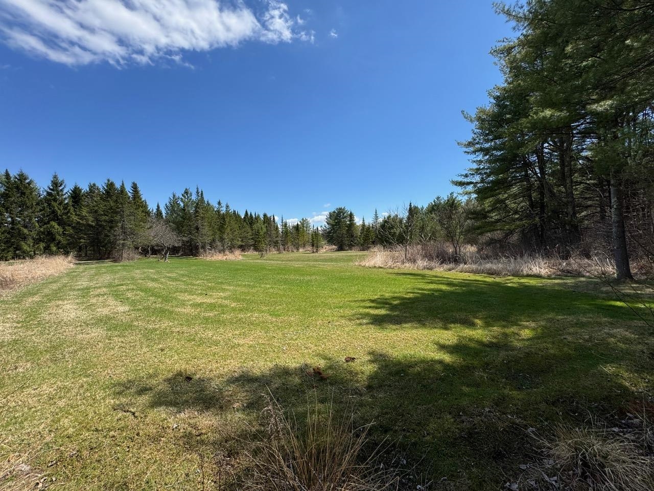 5597 Greenbush Road