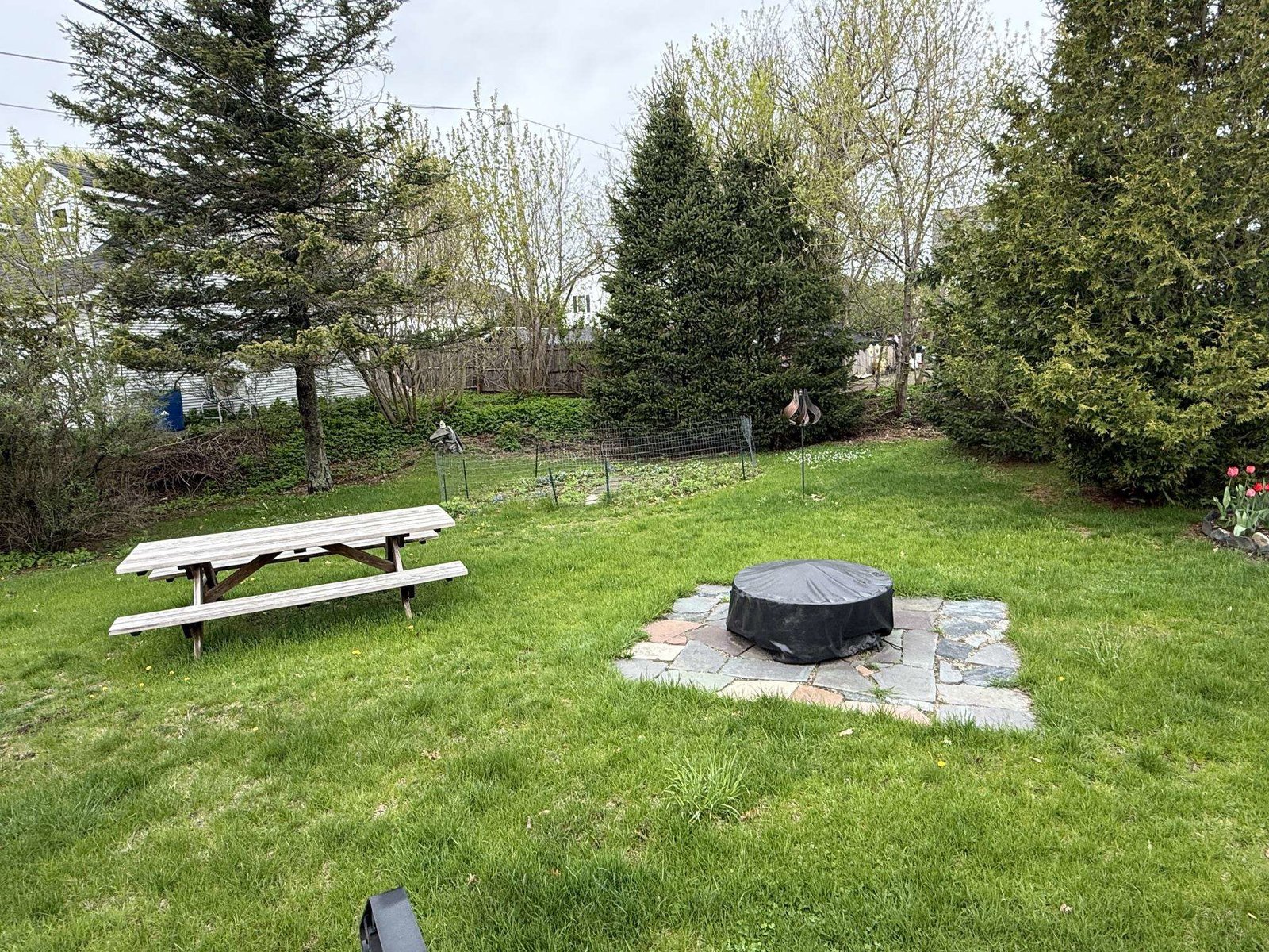 Fire pit in back yard
