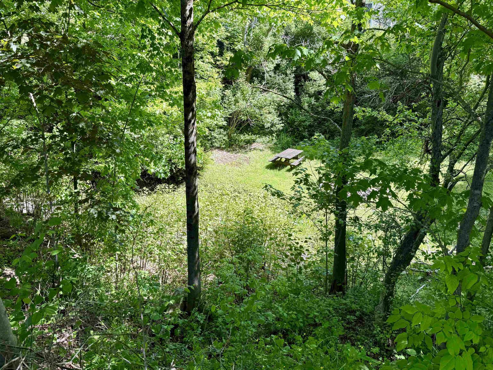 Ravine
