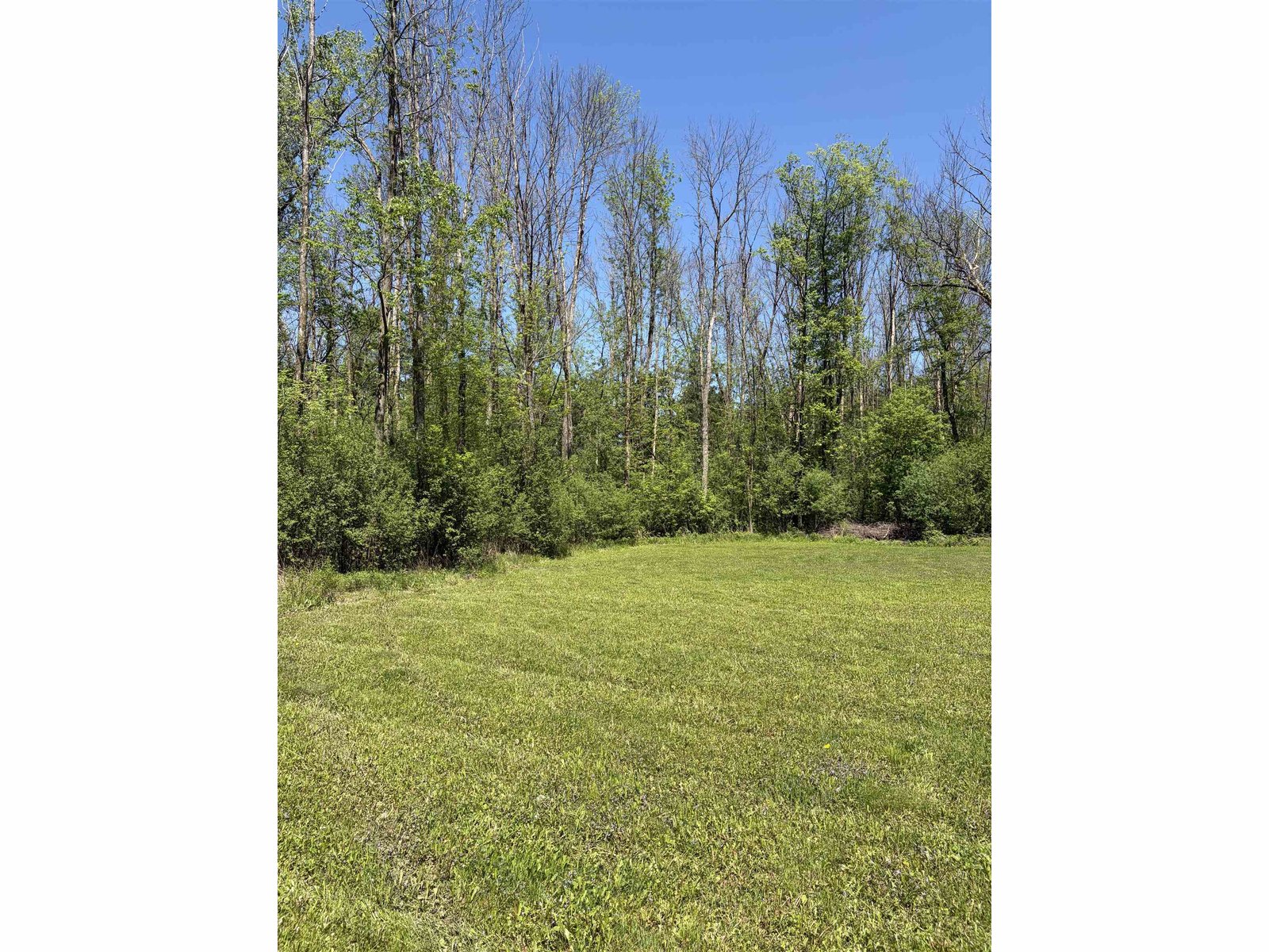 5659 Georgia Shore Lot 4-2 Road