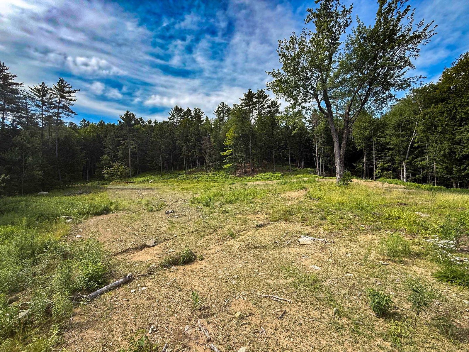 567 Sawnee Bean Road