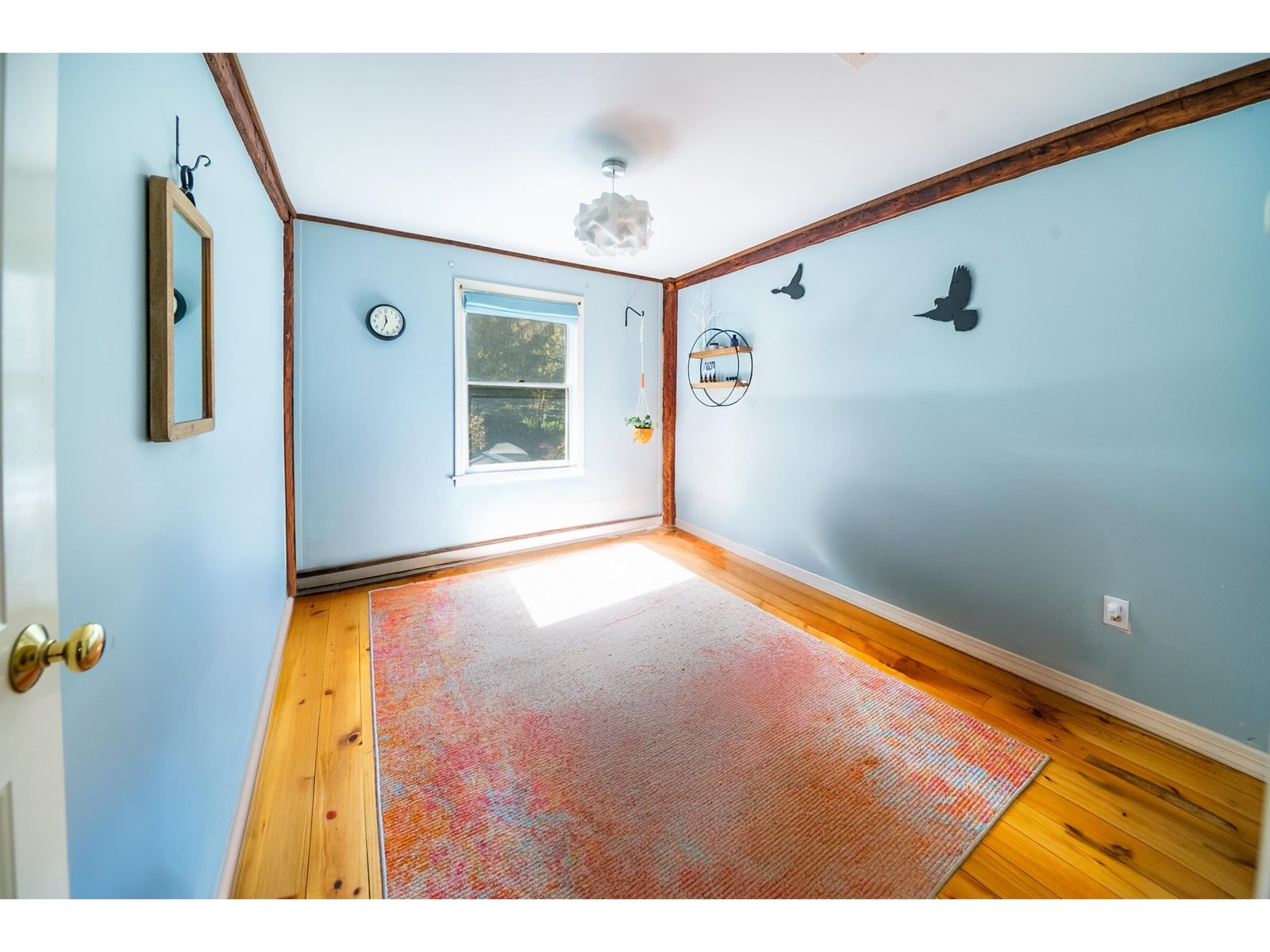 5677 Main Street