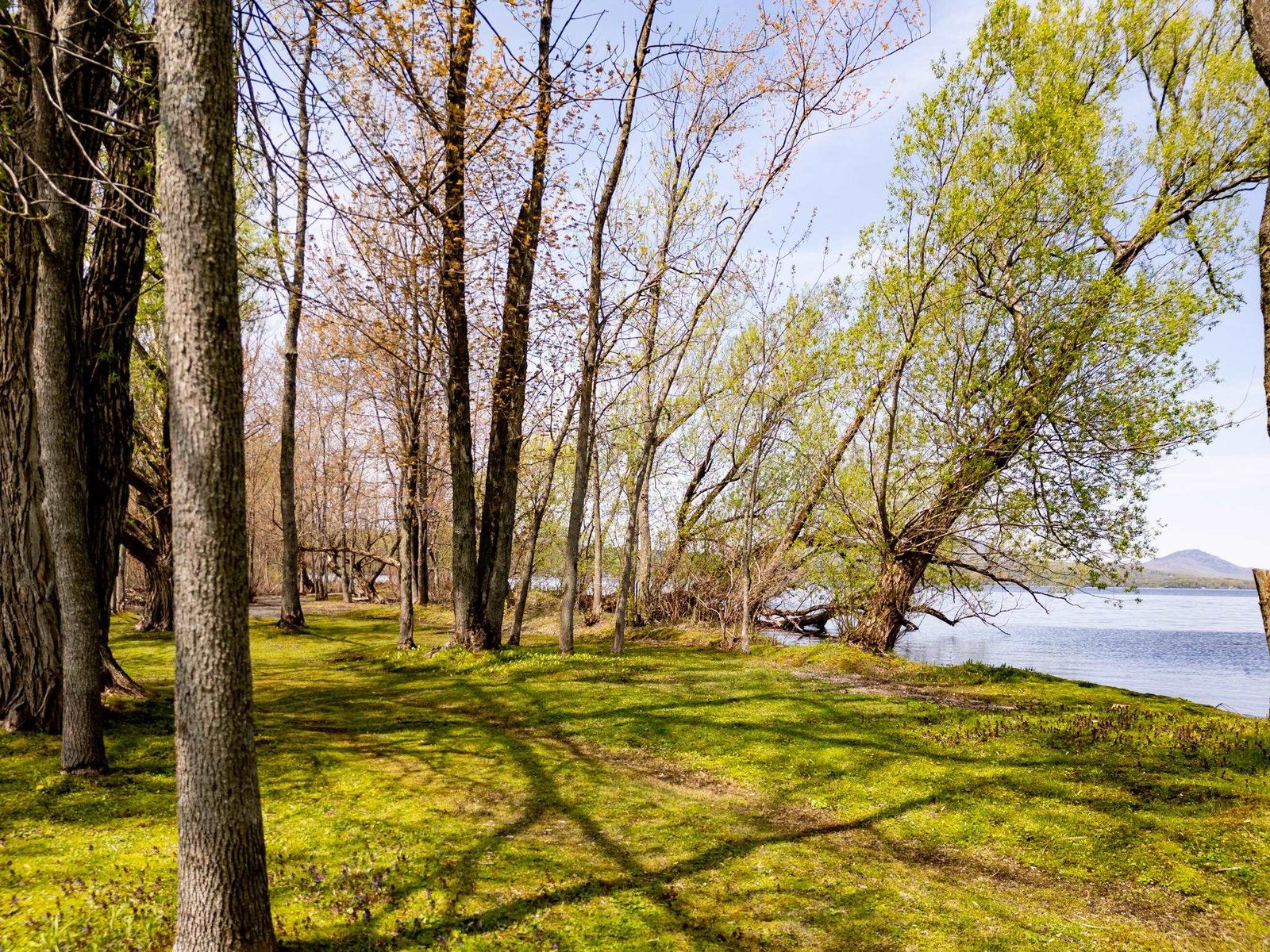57 Farrants Point