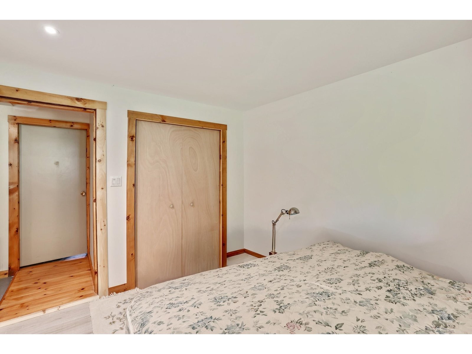Lower level bedroom