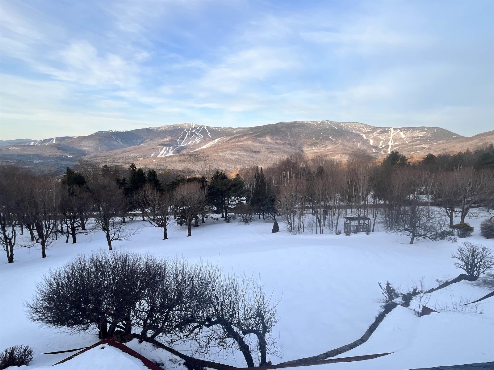 VIEW FROM THE VELUX WINDOWS