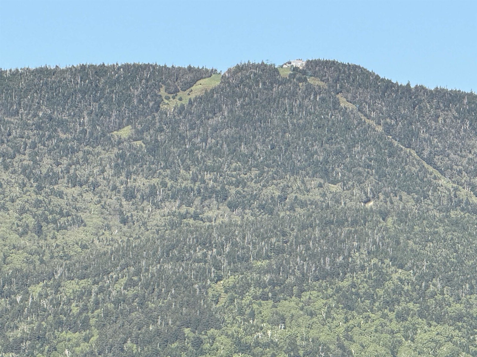TOP OF MAD RIVER GLEN