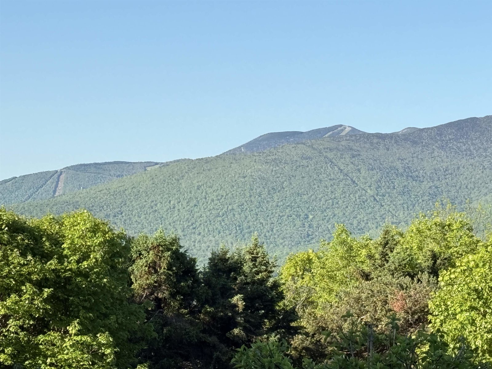 LINCOLN PEAK AND THE INTERTIE