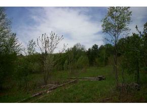 572A Robert Young Rd.