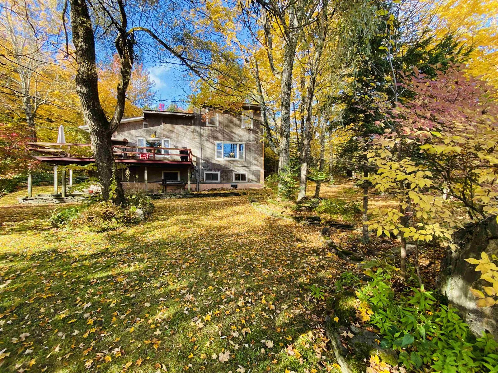 5730 main Street
