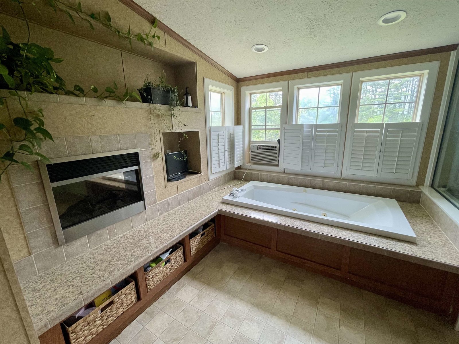 Electric Fireplace