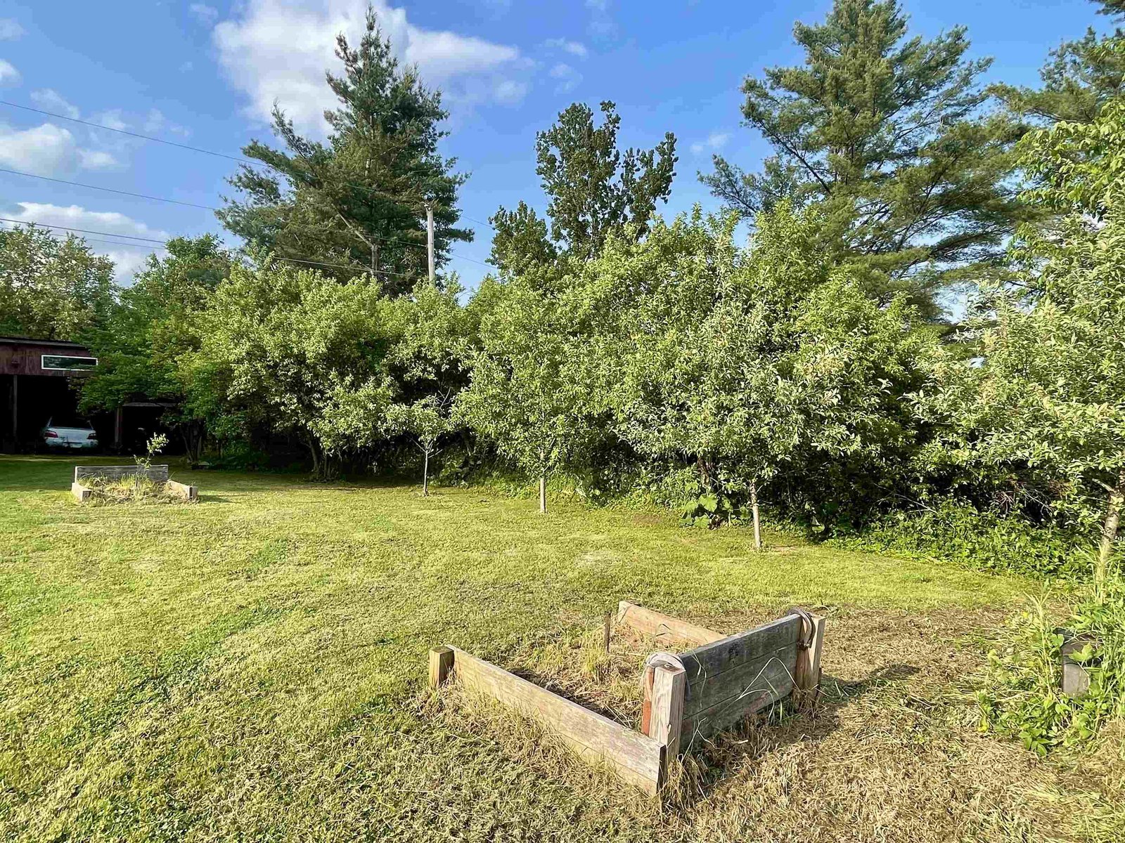 Apple Trees & Horseshoe!