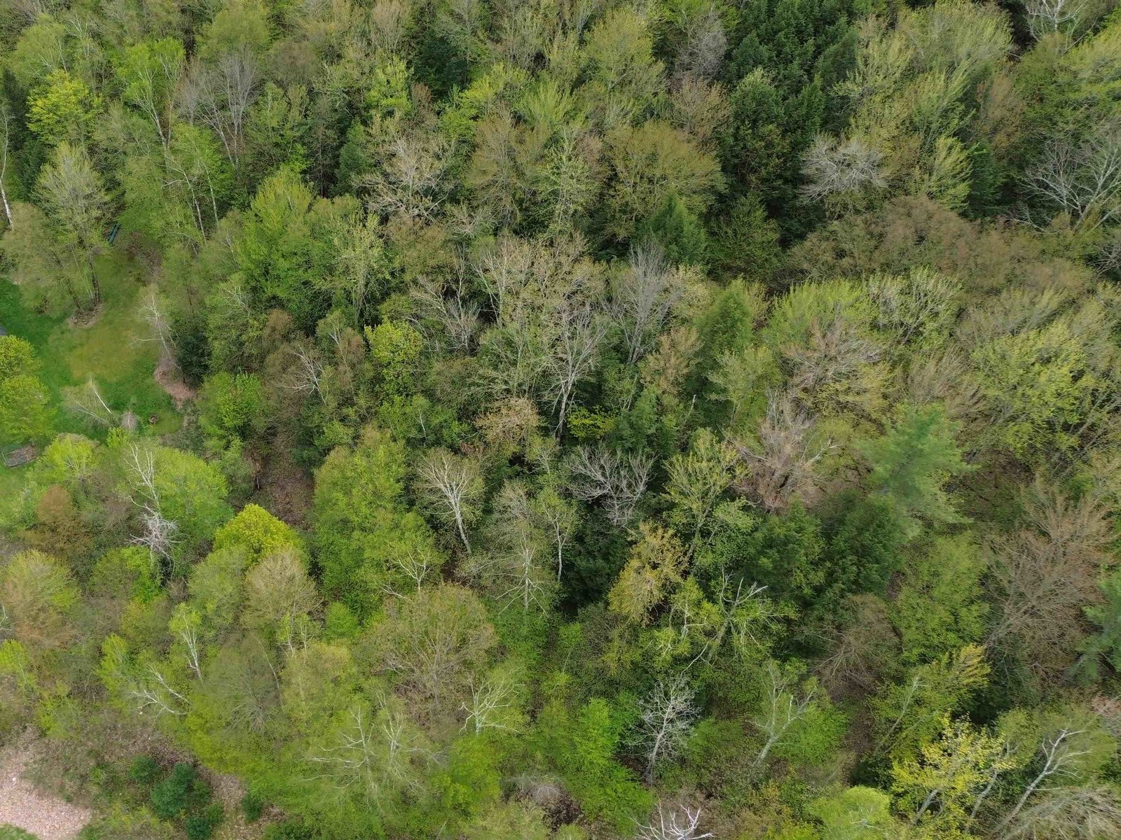575 Greystone Drive, Richmond