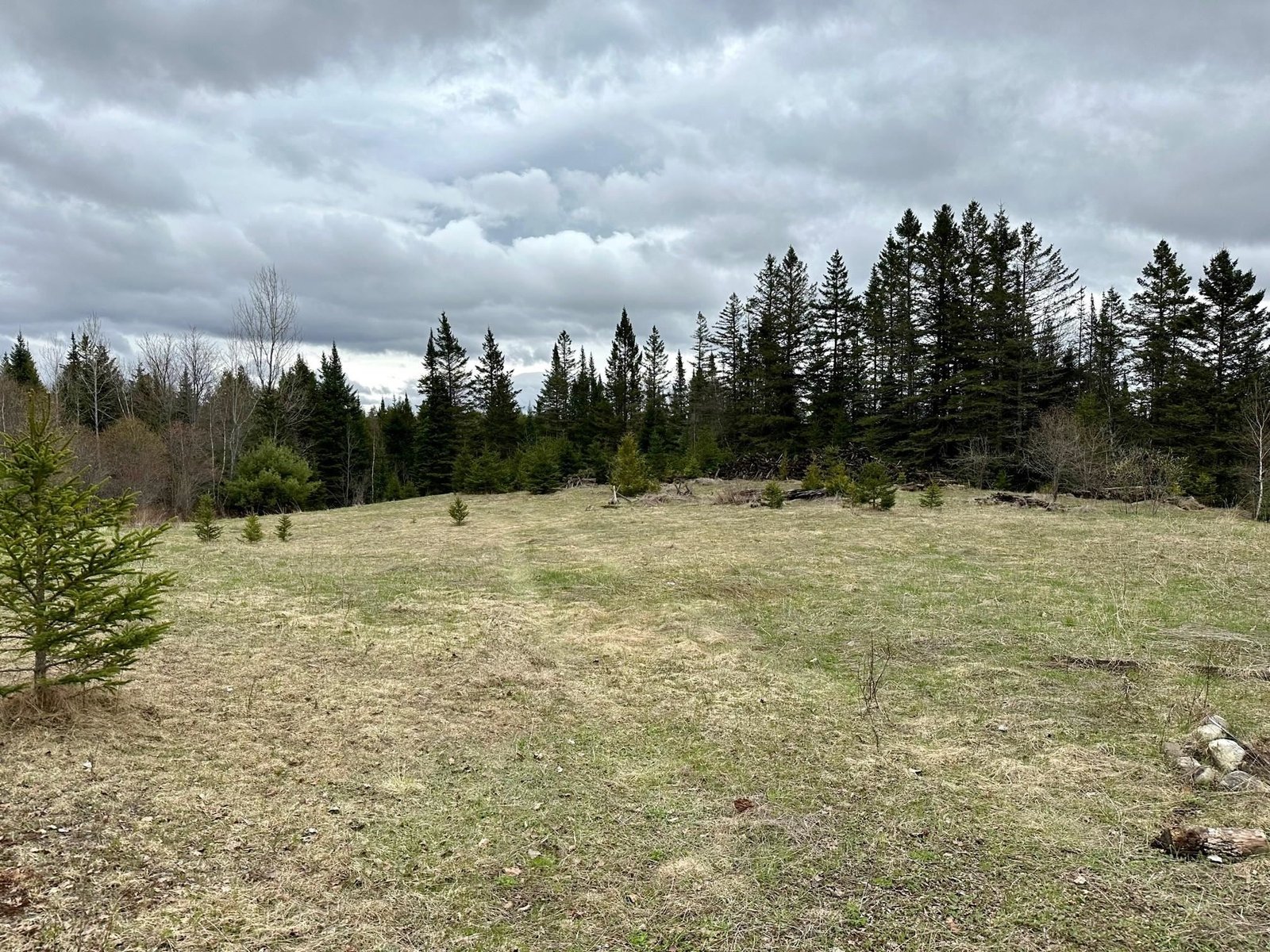 578 Salls Road