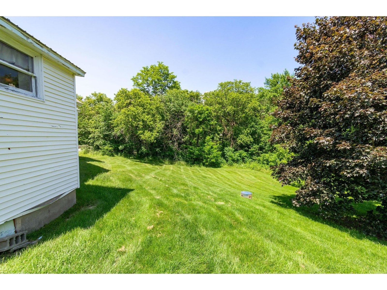 Rear Lawn