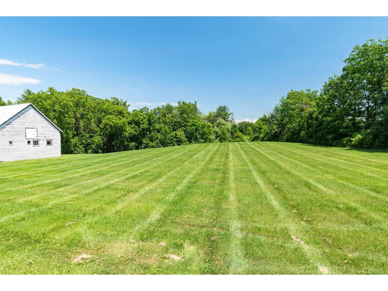 Side Lawn