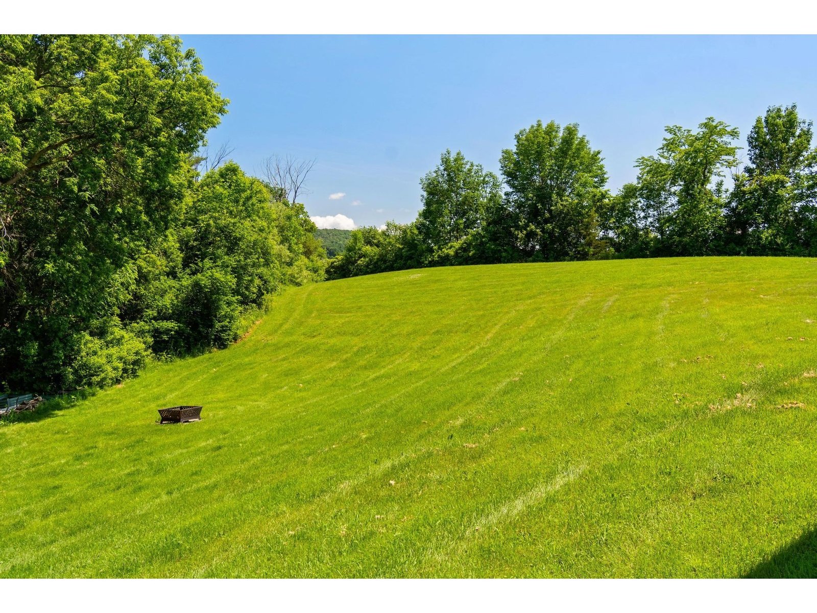 Lush Green Lawn