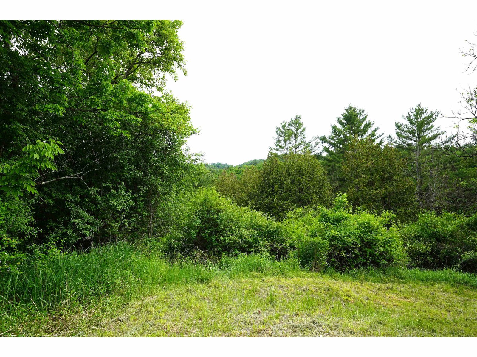 579 Gallison Hill Road