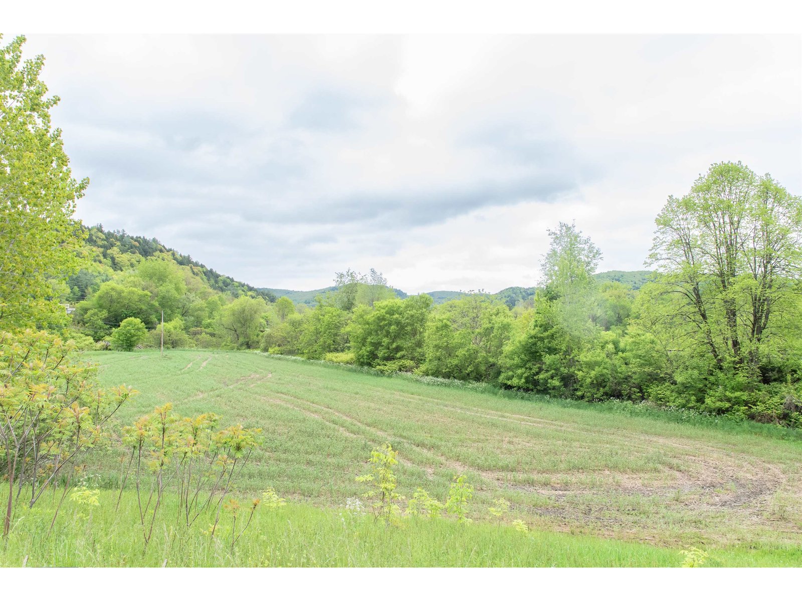 2 acre crop field