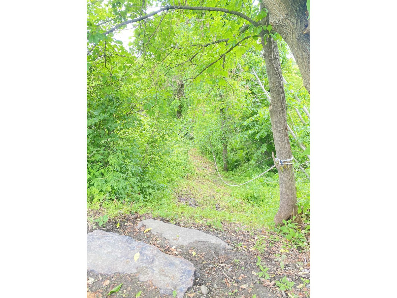 5863 Vermont Route 14