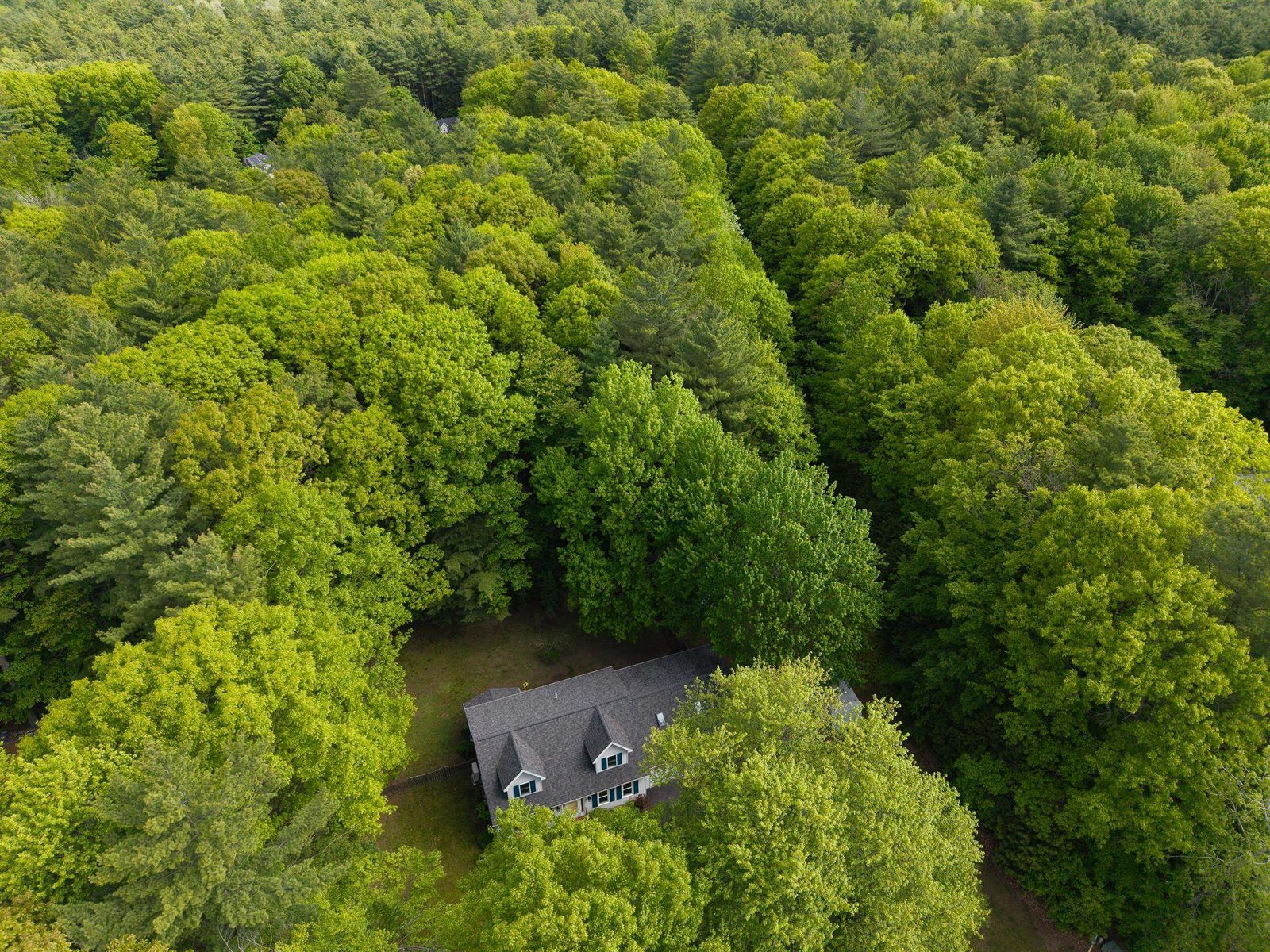 588 Waller Road