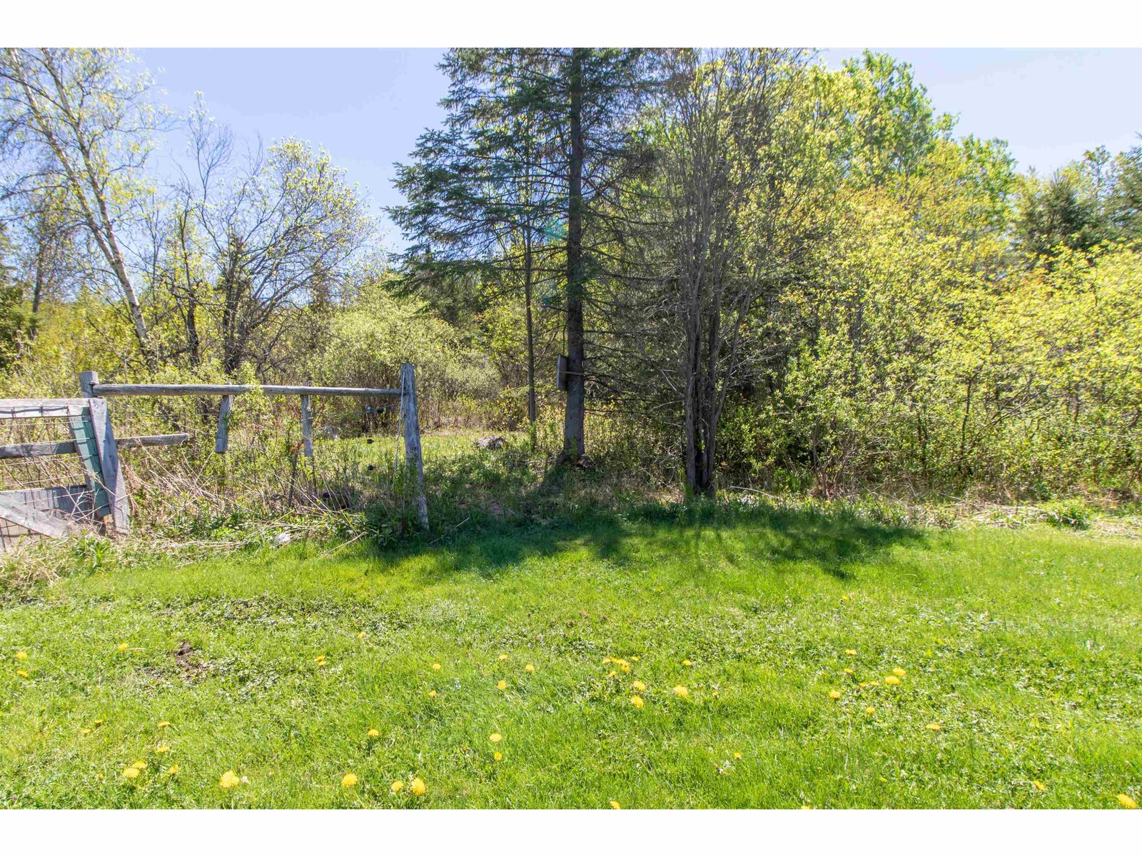 59 Cedar Wood Drive