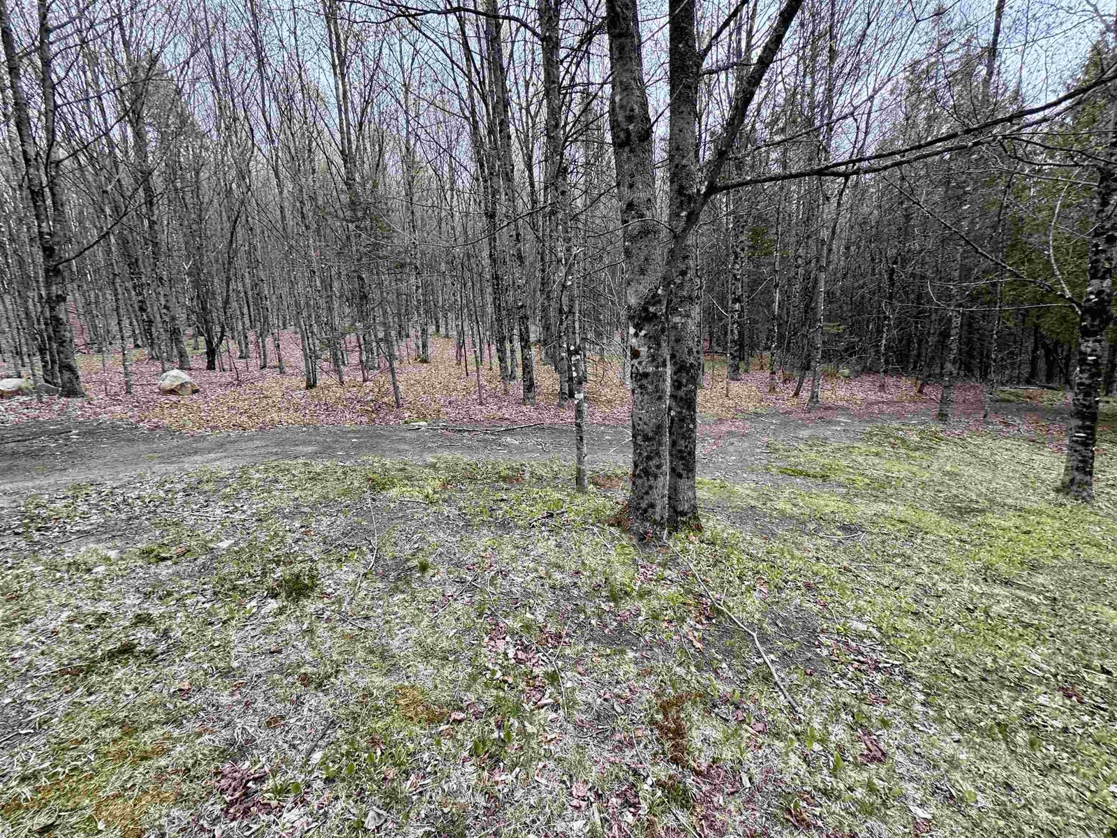 59 Shady Brook Lane