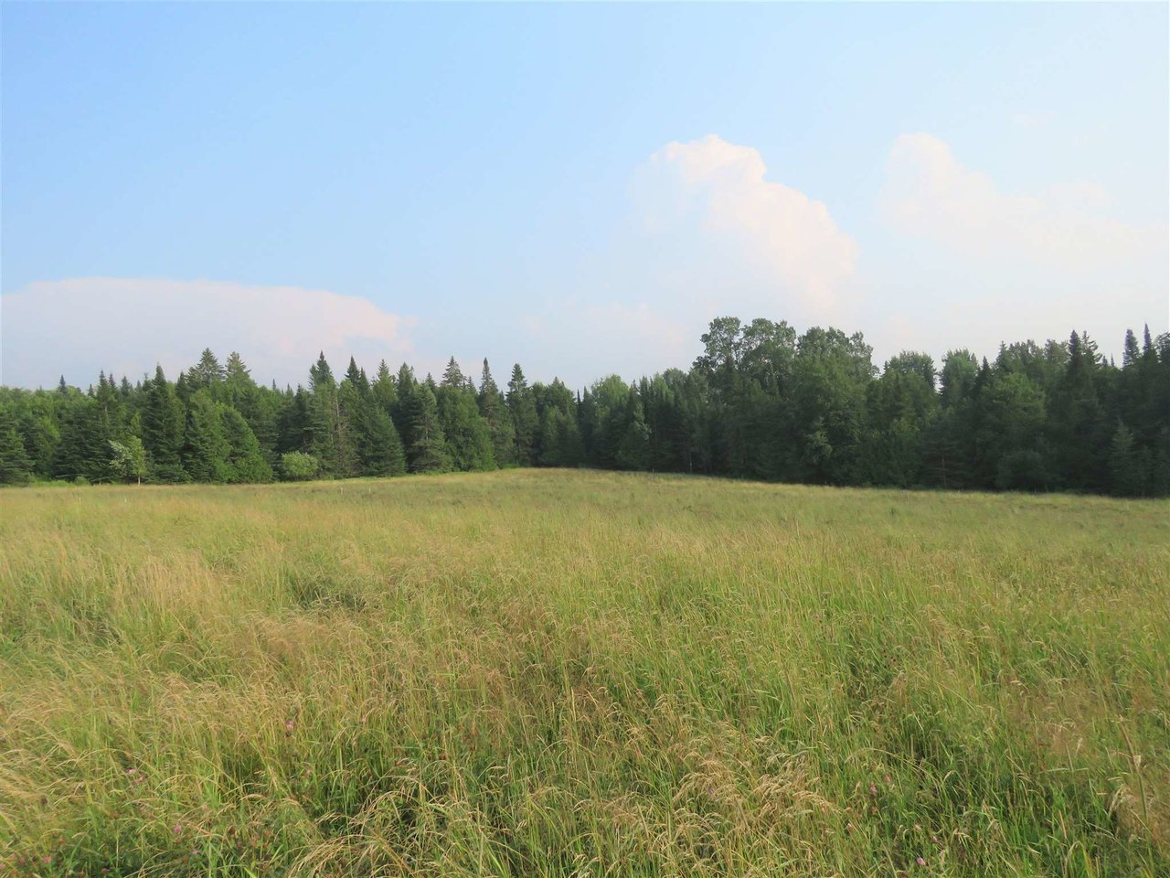 590 Page Hill Road