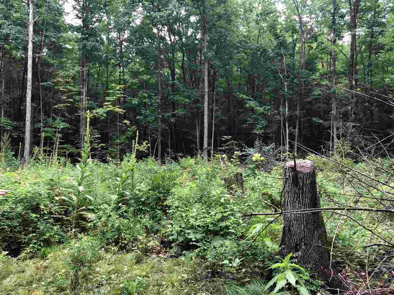 590 Piper Ridge Road