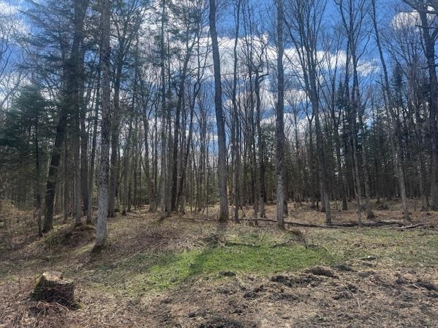 599 Collinsville Road