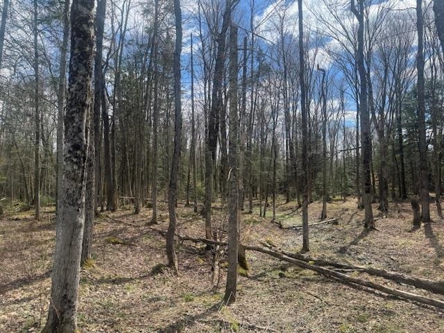 599 Collinsville Road