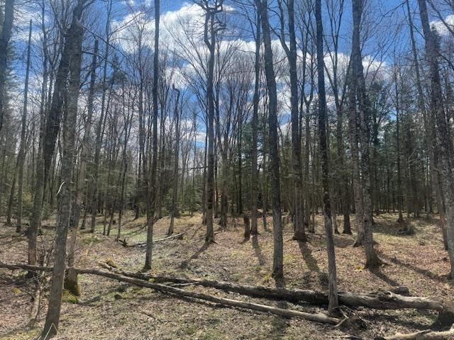 599 Collinsville Road