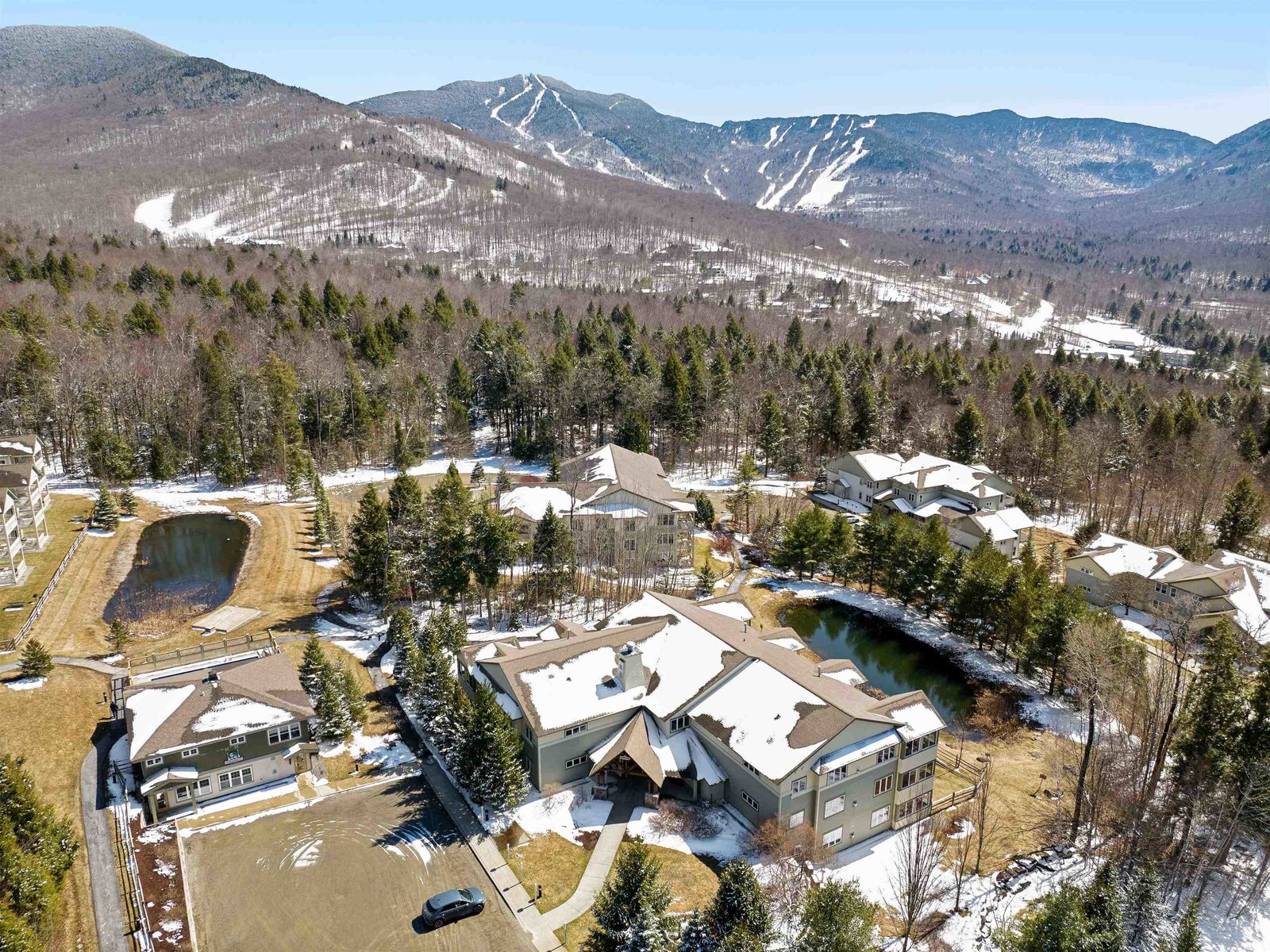 5B Owls at Smugglers Notch Resort