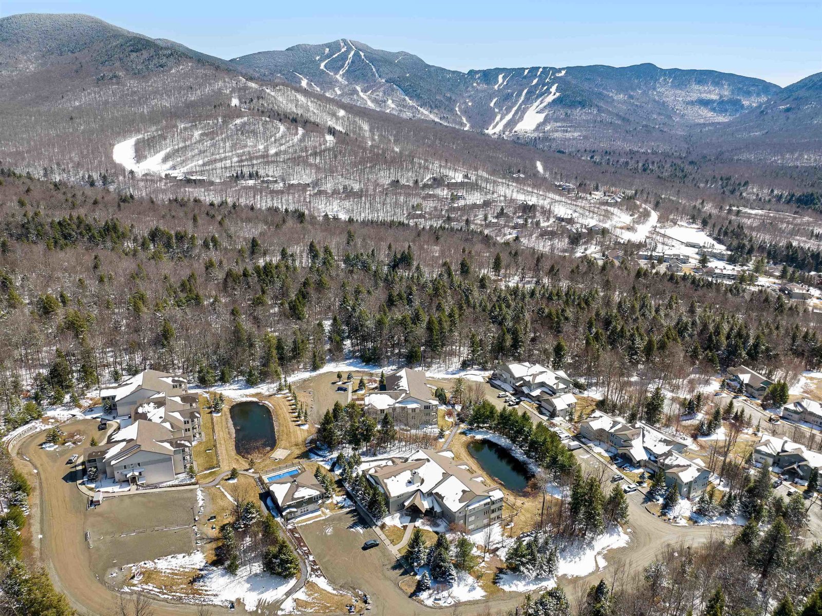 5B Owls at Smugglers Notch Resort