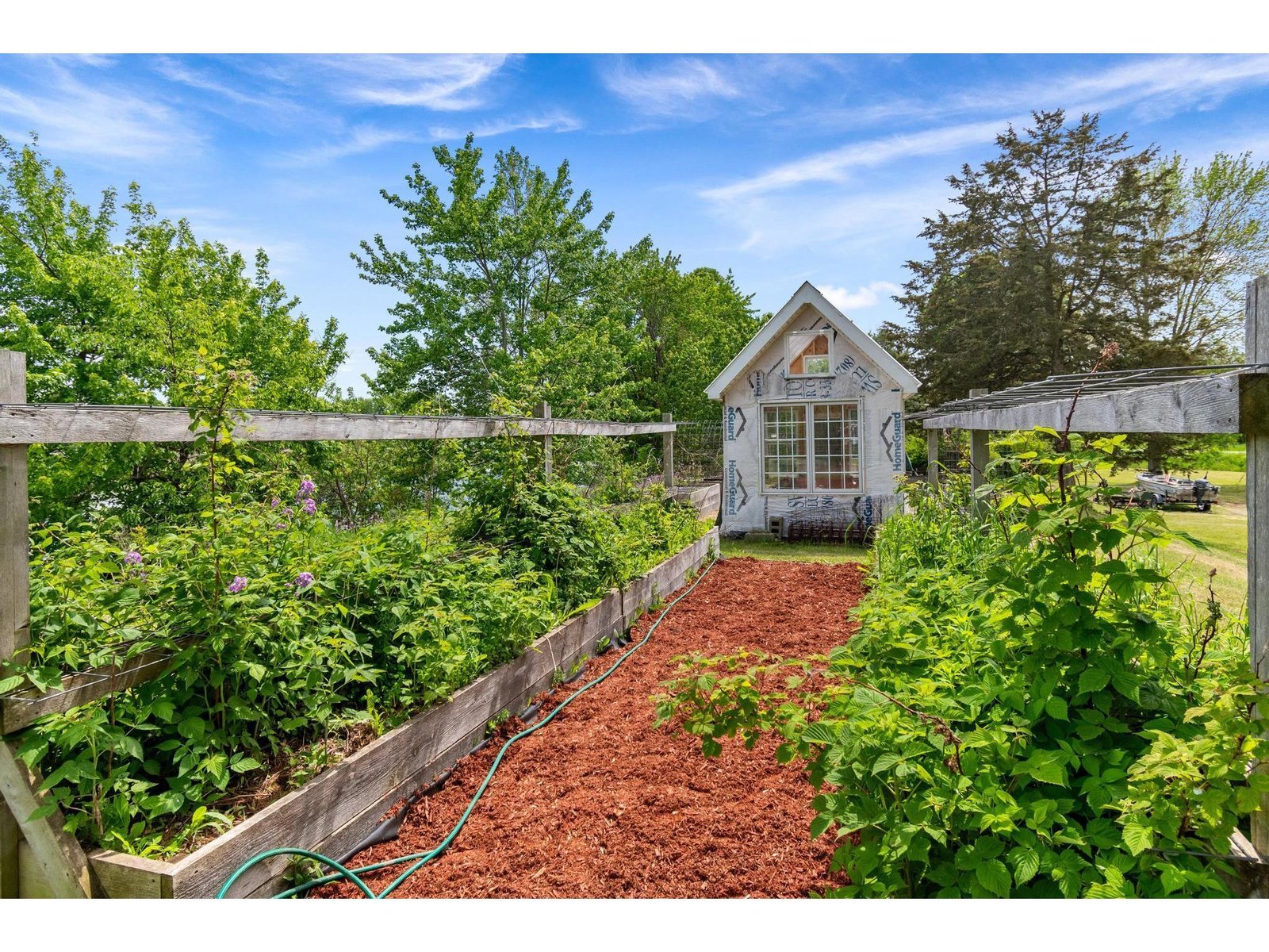 Raised Beds